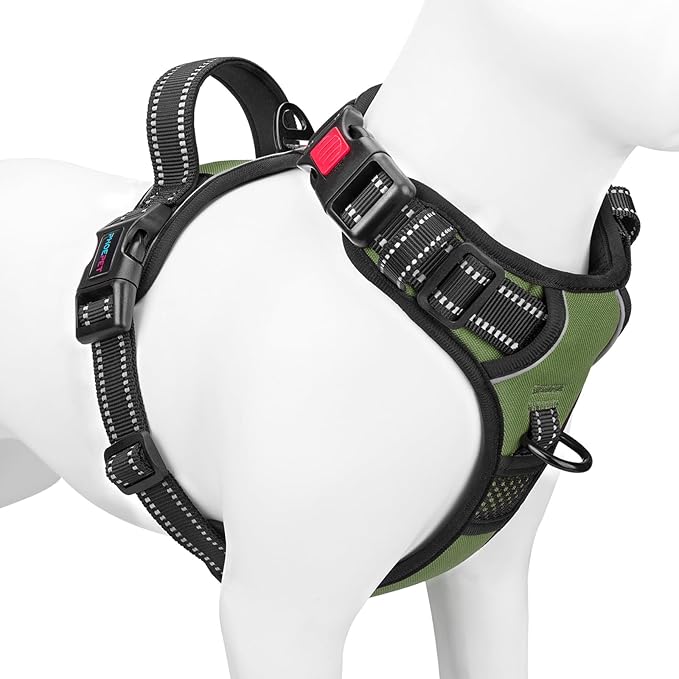 No Pull Dog Harness with Handle Front & Back Clip, Easy on | Lockable Snap Buckle at Neck, Adjustable Reflective Vest with Handle for Small Medium Large Dogs (S, Misty Green)