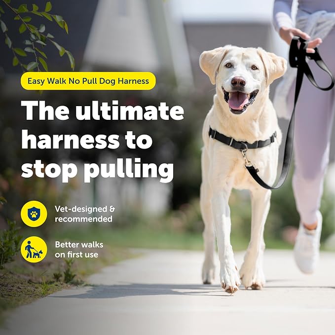 PetSafe Easy Walk Harness, No Pull Dog Harness, Charcoal Gray, Large | Patented Martingale Loop Gives Gradual Shoulder Pressure to Stop Pulling, Front-Chest Leash Clip Prevents Gagging