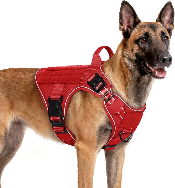 rabbitgoo Tactical Dog Harness for Medium, Heavy Duty Military No Pull Vest | Sturdy Metal Buckles, 5 Adjustments, Molle System, Powerful Pullers for Training, Hunting, Outdoor, Red Reflex, Medium