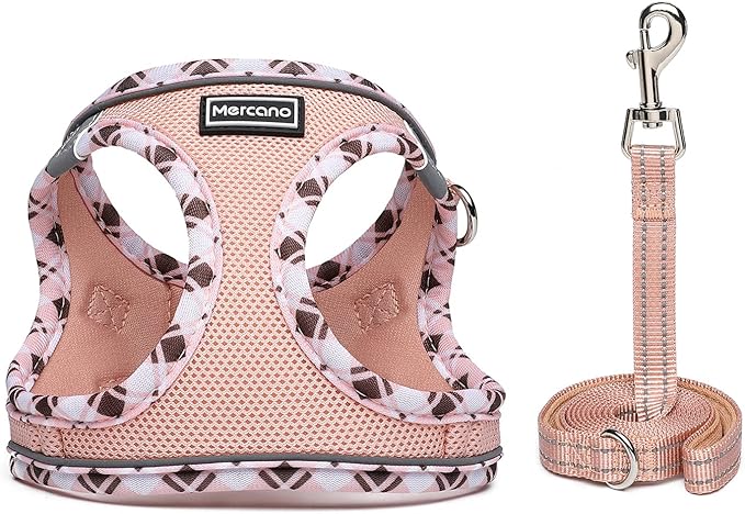 Mercano Soft Mesh Dog Harness and Leash Set, No-Chock Step-in Reflective Breathable Lightweight Easy Walk Vest Harnesses with Safety Buckle for Small Dogs, Cats (Champagne, L)