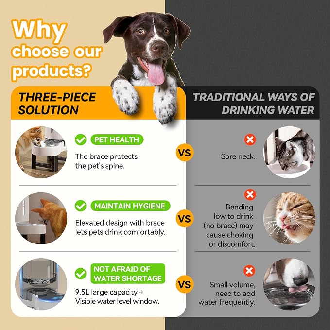 CZPET Elevated Dog Water Bowl Dispenser for Large Dogs (9.5L+Stand,White) | With Stainless Steel Bowl Gravity Waterer, Large Capacity and Drinking Area Noise-Free for Pets