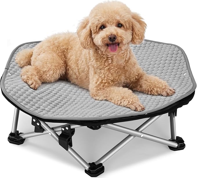 Pecute Raised Dog Bed with Cooling Mat, Elevated Pet Cot for Cats, M | Breathable Textilene Mesh, Outdoor Camping & Beach, Steel Frame,130 lbs Heavy Duty Support, Tool-free 3-second Quick Assembly