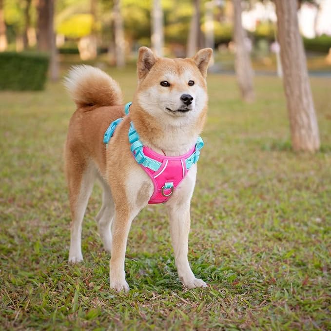 No Pull Dog Harness, Unique Colors Reflective Adjustable Dog Vest, with Soft Training Handle Metal Clips for Small Medium Large Dogs (Pink Base & Green Straps,S)