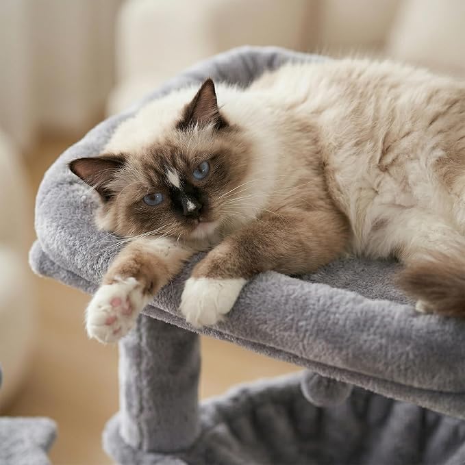 Cat Tree for Indoor Cat, with Cat Condo and Hammock, Grey | Cat Tree with Self-Grooming Brush and Toy Balls,Cat Tower with Scratching Posts