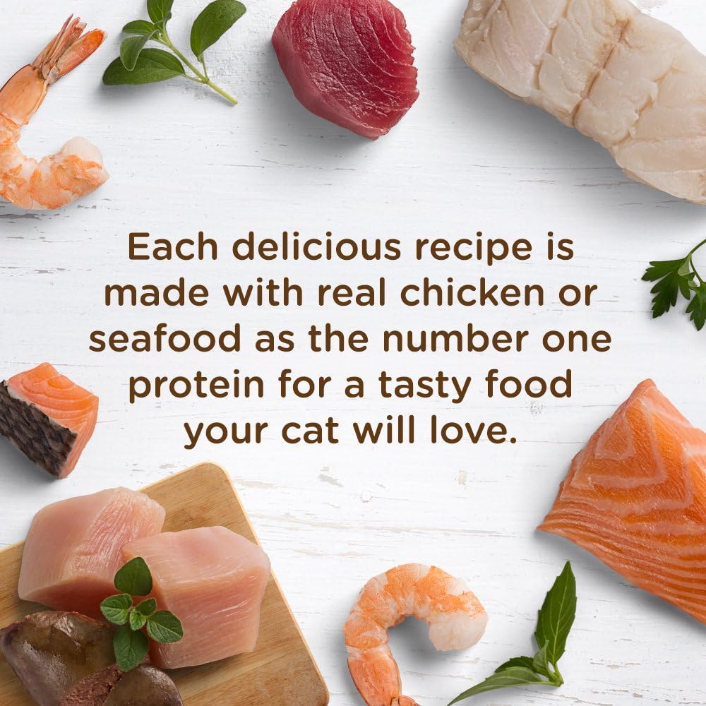 Rachael Ray Nutrish Natural Wet Cat Food, Ocean Fish-A-Licious Recipe, 2.8 Ounce Cup (Pack of 12), Grain Free (6303330281)