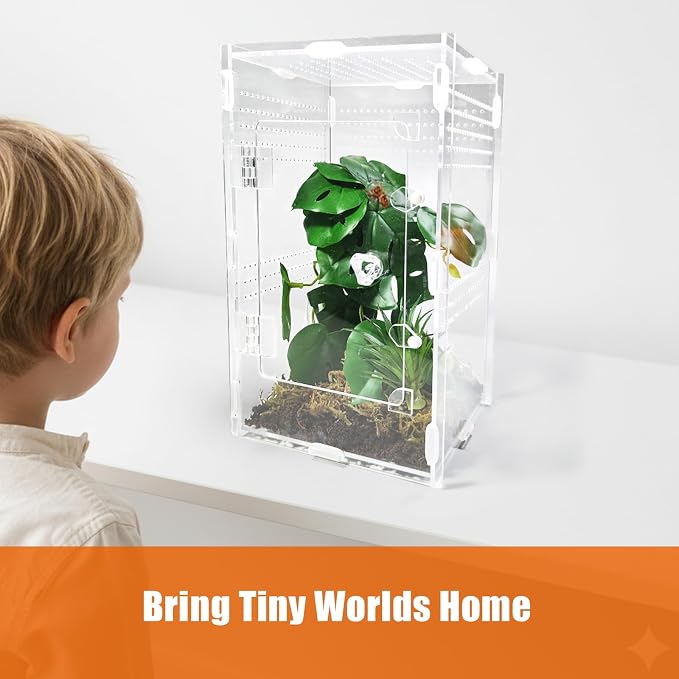 Acrylic Jumping Spider Enclosure Large 6”x6”x10” with Front Door, Arboreal Tarantula Enclosure, Praying Mantis Habitat for Spider, Mantis, Snail, Tarantula, Isopods, Beetles, Millipedes