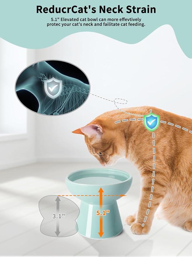 LoeJan Elevated Cat Food and Water Bowls Set, Extra Wide and Raised Ceramic Feeder, Anti-Vomit Whisker-Free Pressure Feeding Bowl for Kittens Adult Small Dogs (Blue)