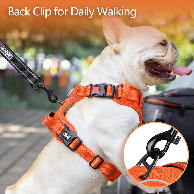 PoyPet No Pull Dog Harness, Reflective Vest with 2 Leash Clips & Handle | Lockable Neck Release Buckle, No Choke, Adjustable, Soft Padded, for Walking Training, Orange Matching Trim, Medium