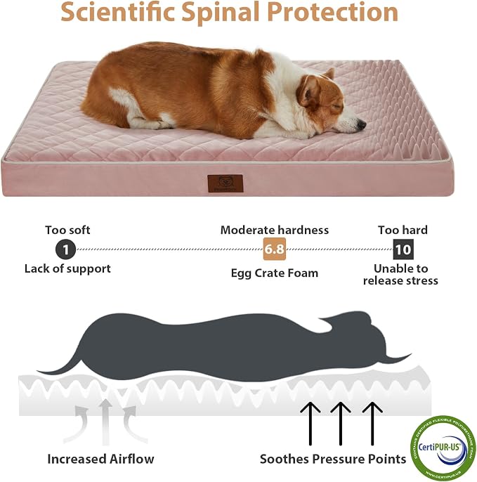 WNPETHOME Orthopedic Waterproof Dog Bed Medium for Comfy Sleeping | Washable Medium Pet Bed with Removable Cover, Multi-Needle Quilting Dogs Crate Bed Pink 30x20 Inch