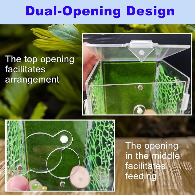 Acrylic Jumping Spider Enclosure,Reptile Enclosure,Bug Habitat, for Small Tree Dwelling Reptiles,Arboreal Tarantula Enclosure, Spider Terrarium Kit,Plastic Terrarium(4.7" X 4.7" X 8")