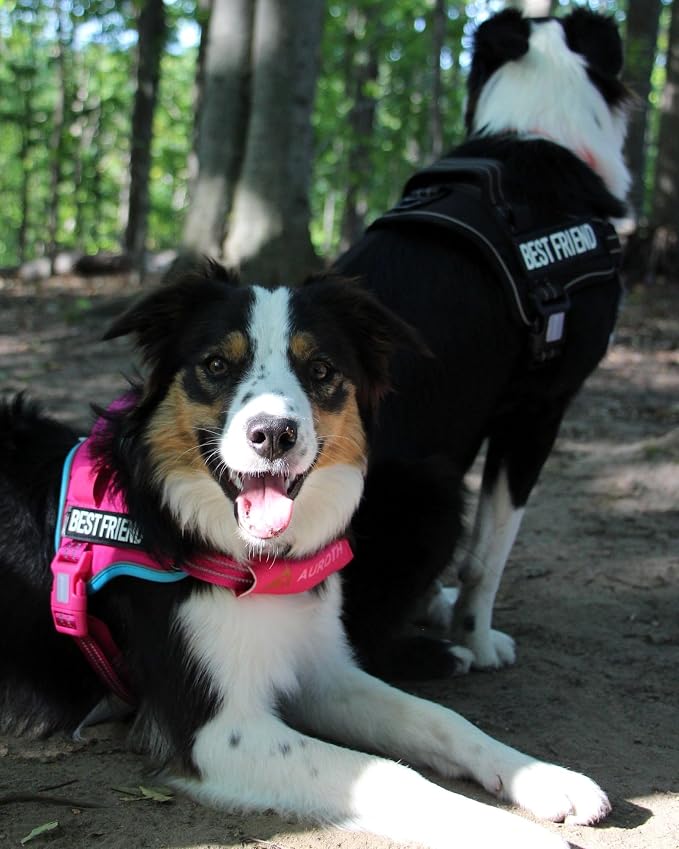 AUROTH Dog Harness and Leash Set for Large Sized Dog, No Pull Dog Vest | with Leash Clips, LED light clip, Soft Padded No Choke, Escape Proof, Easy Walking and Training, Rose Red, XL