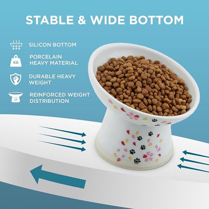 Necoichi Raised Cat Food Bowl – Ceramic Elevated 15° Tilted Cat Bowl for Whisker & Neck Fatigue, Dishwasher Microwave Safe – Non-Slip & Anti Vomiting Ergonomic Design (Sakura, Regular Tilted)