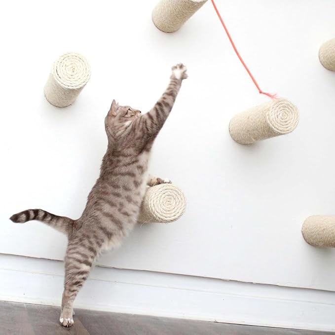 Catastrophic Creations Floating Cat Scratching Post, Hand-Crafted Sisal Cat Scratcher Post, Wall Cat Shelves & Scratching Posts for Indoor Cats, Durable & Modern Cat Furniture (1 Pc)