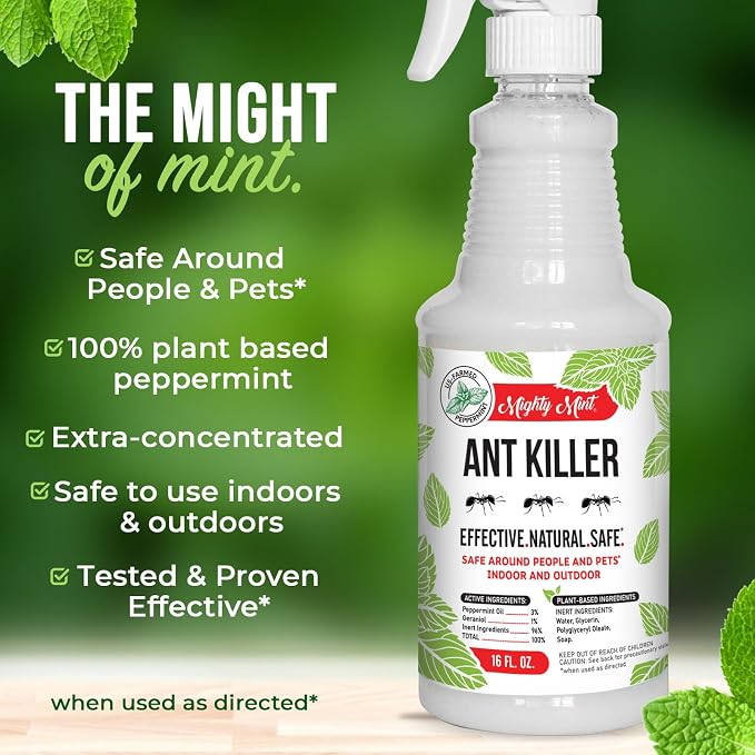 Mighty Mint Peppermint Oil Ant Killer Spray – Natural Ant Repellent for Indoor & Outdoor Use – Plant-Based Insect & Pest Control – 16 oz
