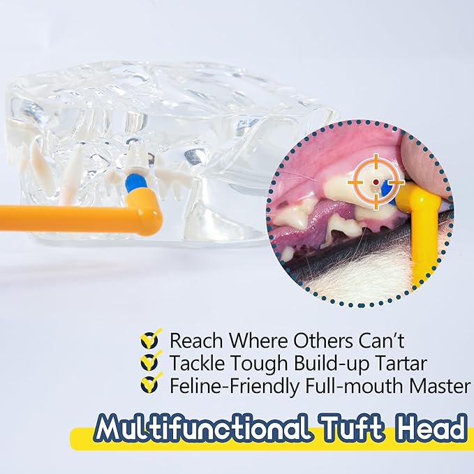 MoonyMars Cat Toothbrush Tuft Head, Small Dog & Puppy Tooth Brushing Kit, Mini Head Teeth Brush for Kitten & Tiny Pet, Doggy Toothbrushes Deep Dental Cleaning, 2 PCS - Orange