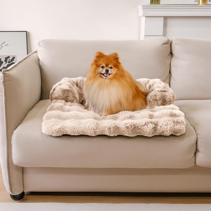 FUNNY FUZZY Dog Couch Bed, Calming Washable Cat Sofa Bed Protector Pets Mat for Small Dogs and Cats, Coffee, 27"×22"×4.7"