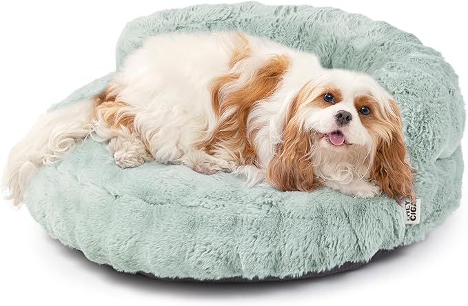 EHEYCIGA Soft Cat Couch Bed for Indoor Cats, Fluffy Small Dog Bed with Removable Washable Cover, Bolster Pet Sofa, Waterproof and Non-Slip, 26" x 26"x 8", Green