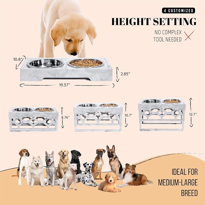 AVERYDAY Elevated Dog Bowls, 4 Height Adjustable Stand for Medium and Large Dogs, Raised Dog Feeder Holder with 2 Stainless Steel Food and Water Bowls, Anti-Slip Base Tall Feeding Station