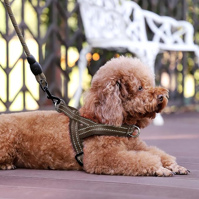 Plutus Pet No Pull Dog Harness for Puppy Small Dogs, Breathable Mesh Padded | Adjustable Reflective with Handle, Escape Proof, Quick Fit Pet Vest, Front Clip, for Training and Walking, Chocolate, XS