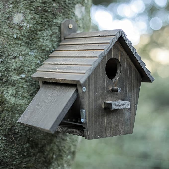 Bird House Black Birdhouse Bird Houses for Outside with Pole Wooden Bird House for Finch Bluebird House Cardinals Hanging Birdhouse Clearance Garden Country Cottages B8-2
