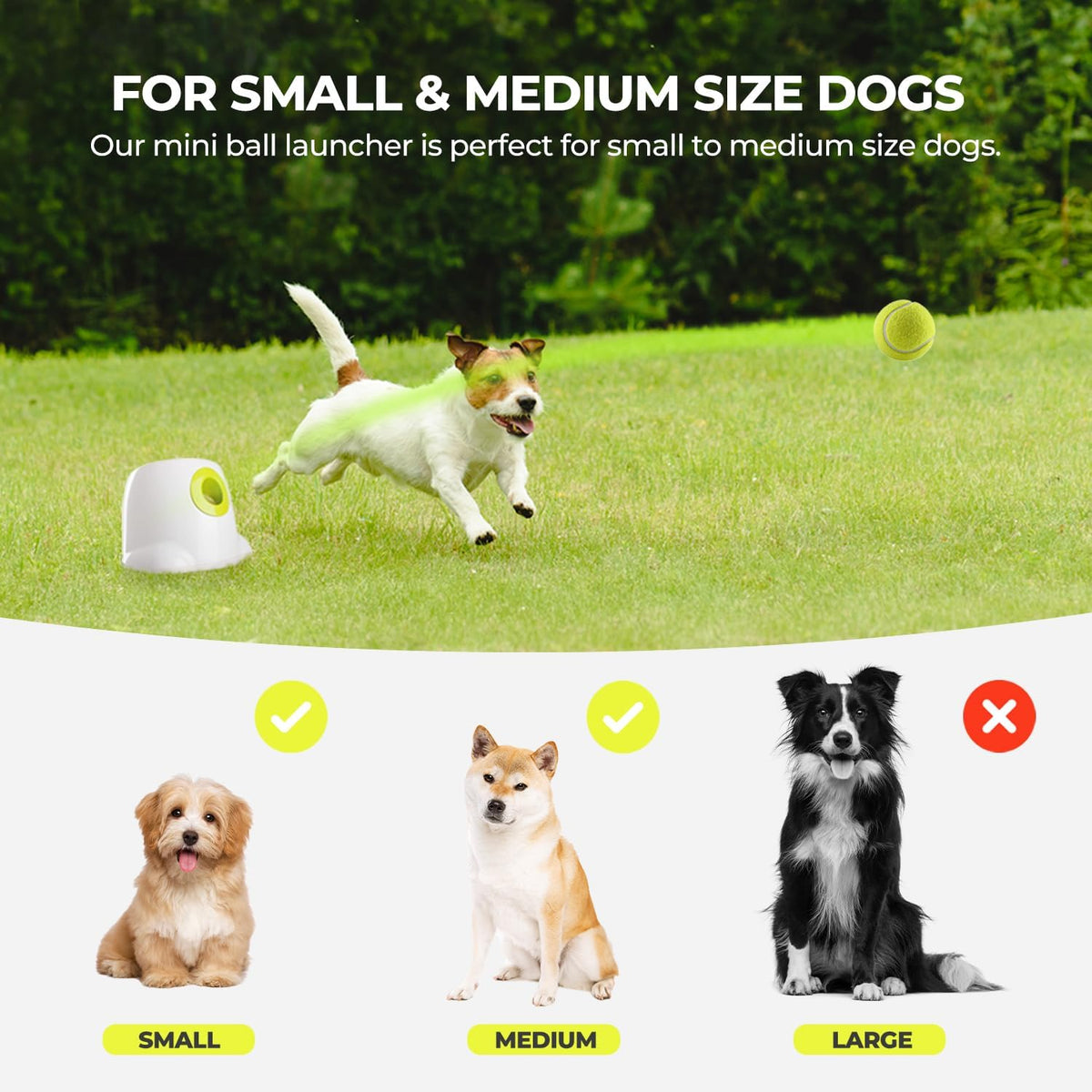 ALL FOR PAWS Original Dog Automatic Ball Launcher for Small and Medium Dogs, Interactive Dog Tennis Ball Throwing Machine, Enrichment Mental Stimulation Toys, Reduce Boredom & Stress