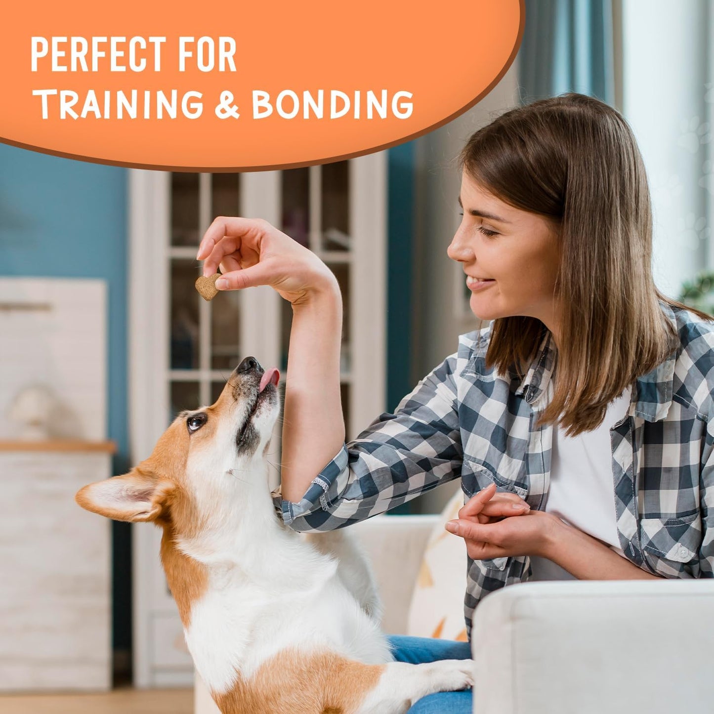 The Much-Loved Dog!™ Peanut Butter Dog Treats – Natural Biscuits for Small Dogs & Large Breeds – Healthy Puppy Treats for small dogs Made in USA, Training Snacks for All Breeds (1 Pack, Peanut Butter)