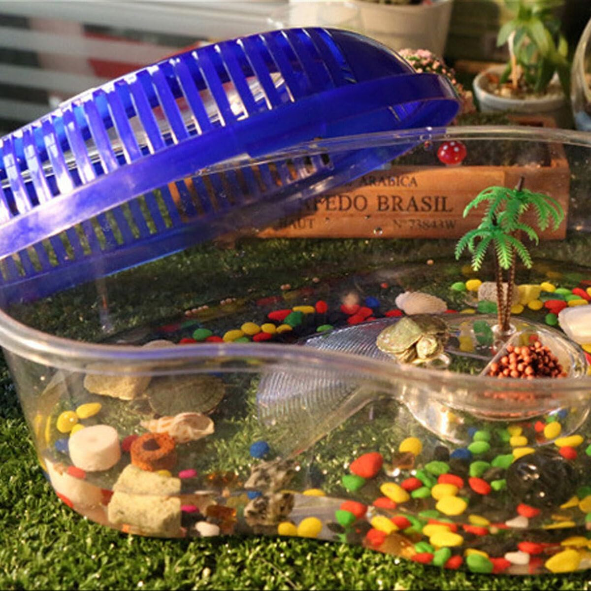 POPETPOP Turtle Tank with Lid : Plastic Tortoise Habitat with Basking Platform Transparent Reptile Tank for Turtle, 12.99x9.06x5.31 inch