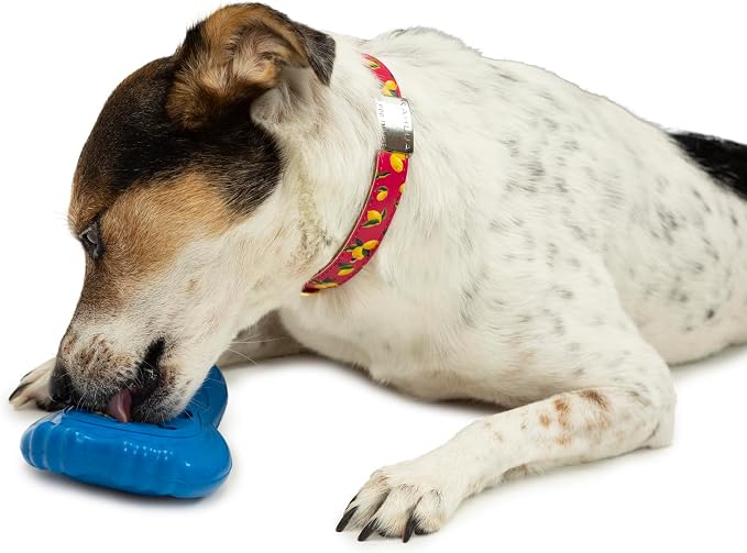 PetSafe Chilly Penguin Freezable Treat Holding Dog Toy, Small | Fill with Frozen Treats Like Peanut Butter or Wet Dog Food, Vanilla-Scented and Stackable Design, Top-Shelf Dishwasher Safe