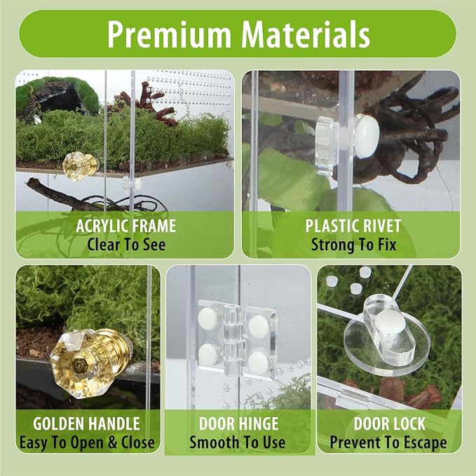 Large Jumping Spider Enclosure, 2 in 1 Ventilated Reptile Terrarium for Praying Mantis,Arboreal Tarantula,Crested Gecko, 12"*8"*8" Acrylic Habitat with Removable Divider,Front Opening & Top Lid