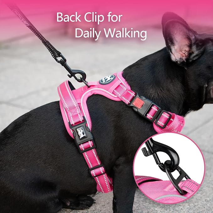 PoyPet No Pull Dog Harness, Reflective Vest with 2 Leash Clips & Handle | Lockable Neck Release Buckle, No Choke, Adjustable, Soft Padded, for Walking Training, Pink Matching Trim, Large