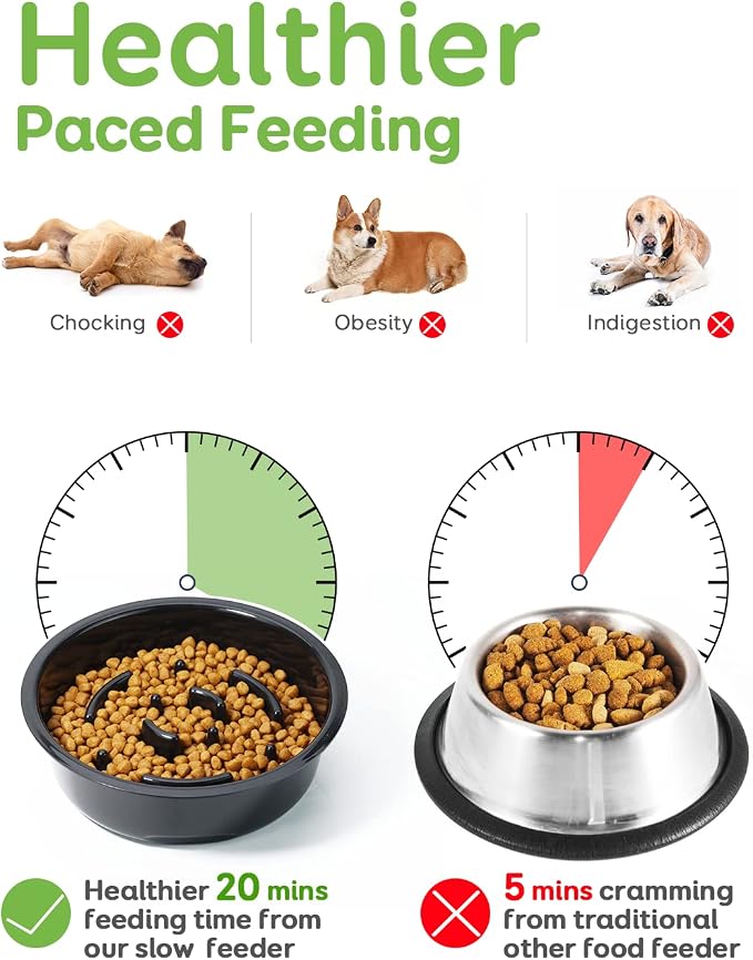 Elevated Slow Feeder Bowls - Adjustable Raised Dog & Cat Bowl | 3 Heights (6.1", 7.7", 9.3") for Medium & Small Pets, Mess Proof & Non-Slip Dish Feeder