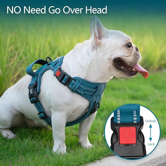 PoyPet No Pull Dog Harness, Reflective Vest with 2 Leash Clips & Handle | Lockable Neck Release Buckle, No Choke, Adjustable, Soft Padded, for Walking Training, Tumalo Teal, Small