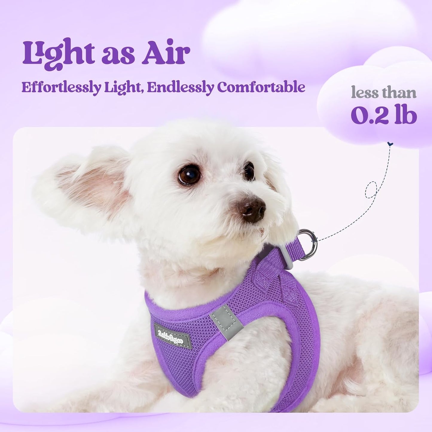 rabbitgoo Dog Harness Small Sized and Leash Set, Step in Soft Light Puppy Vest, Breathable Mesh Pet Harness, Reflective for Safe Outdoor Walking, Purple XS