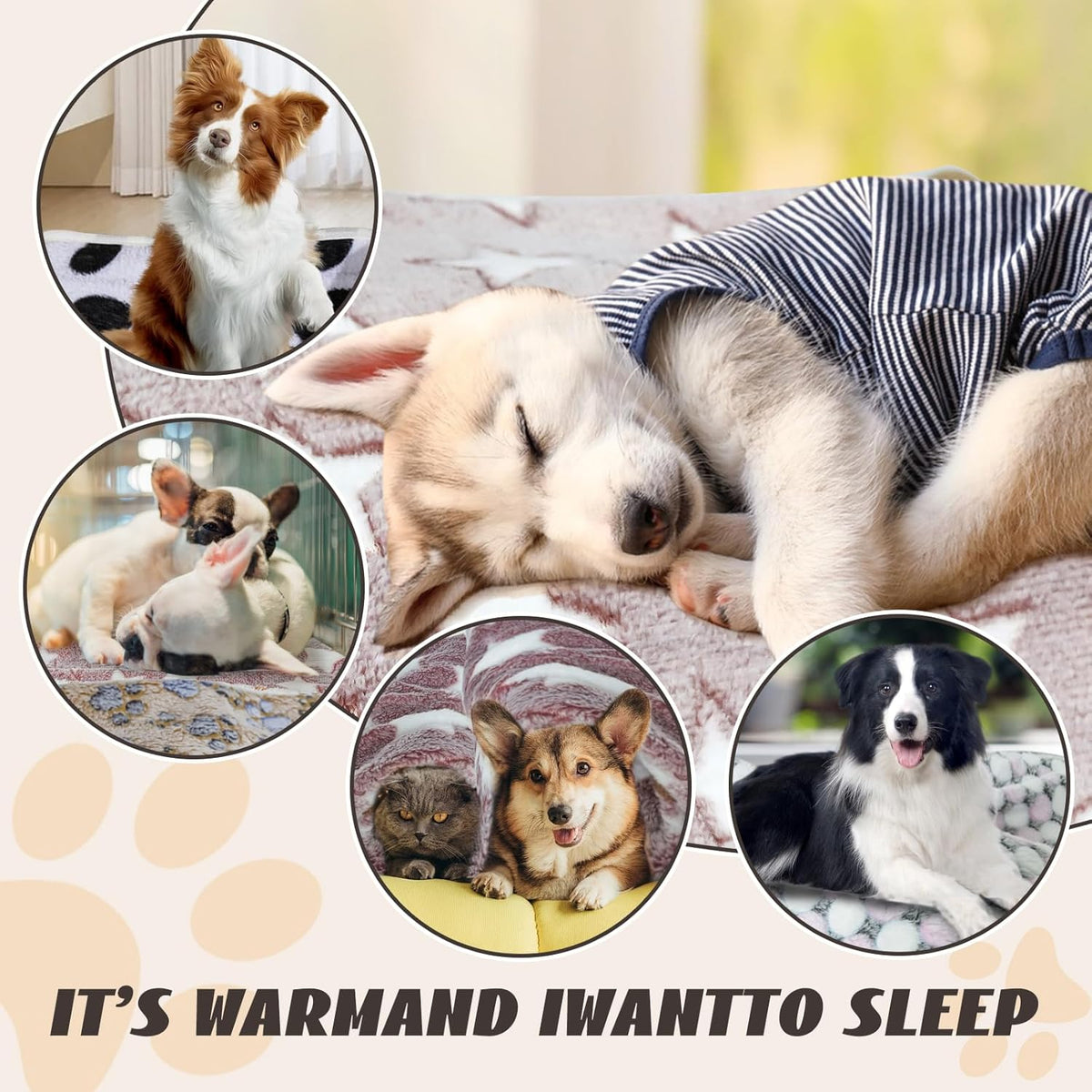 6 Pcs Washable Guinea Pig Blankets Absorbent Small Animal Fleece Bedding Cage Liners Reusable Pet Pee Pad Sleep Mat Pad Cover for Hamster Ferret Rabbit Chinchilla Hedgehog (Black, 24" x 35")