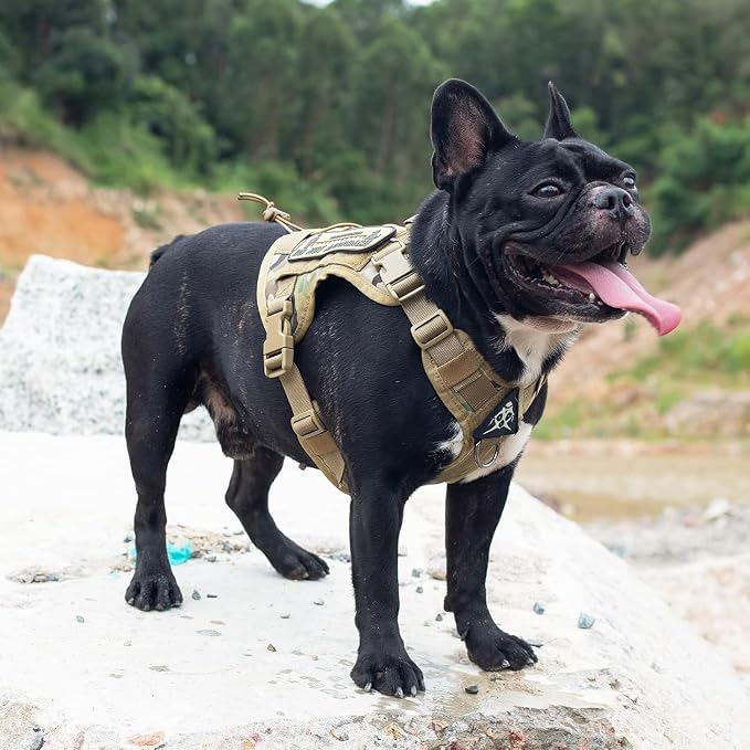 OneTigris Tactical Dog Harness with Handle No-Pull Adjustable for Small Dog | Military 1000D Pullable Nylon, Service Dog Vest with Hook & Loop Panels, Easy On & Off for Walking Hiking Training Camo XS