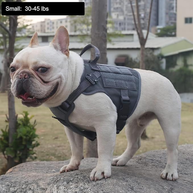ICEFANG Tactical Dog Harness for Small Dogs,Reflective No Pull Dog Vest | with Control Handle,Adjustable,Front Hook,2 Leash Clips,Soft Padded,MOLLE Panel,Grey,Small