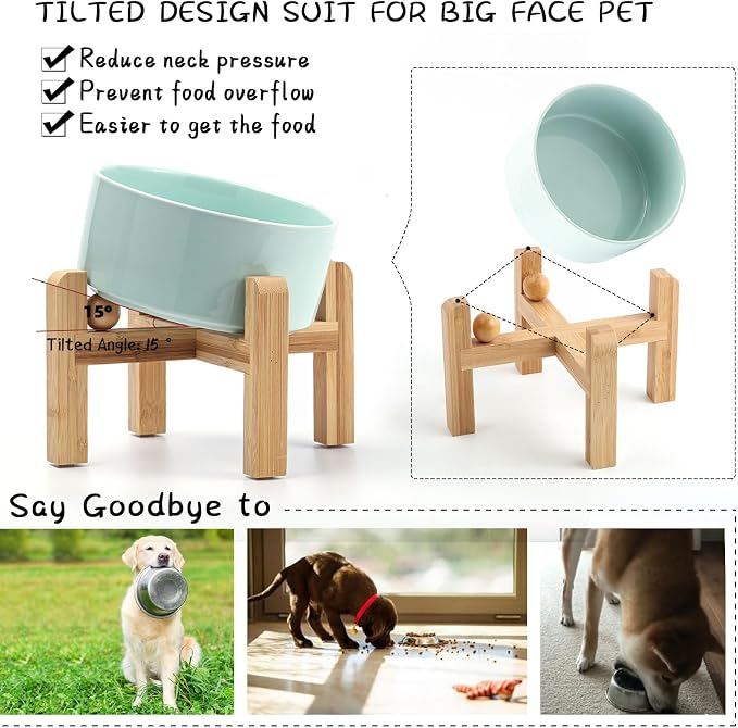 Petygooing Elevated/Raised 15°Slanted Ceramic Dog Bowl for Small and Medium Breeds, Tilted Anti Slip Pet Bowl,Food Water Dish with Stand for Cats and Dogs (28 OZ/3.6 Cups) Blue Sky