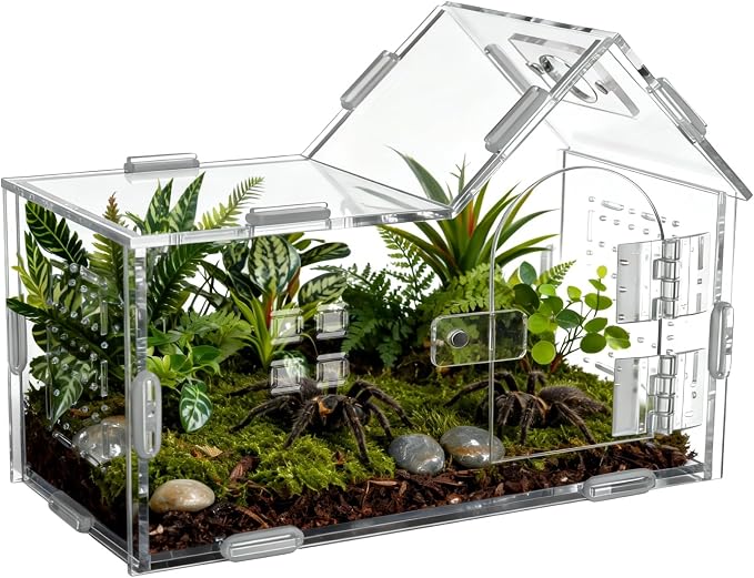 Large Jumping Spider Acrylic Enclosure, Clear Acrylic Spider Habitat Box with Adsorptive Door Feeding Hole, Ventilated Small Reptile Terrarium for Small Lizard Snail Cricket Mantis