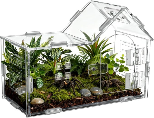 Large Jumping Spider Acrylic Enclosure, Clear Acrylic Spider Habitat Box with Adsorptive Door Feeding Hole, Ventilated Small Reptile Terrarium for Small Lizard Snail Cricket Mantis