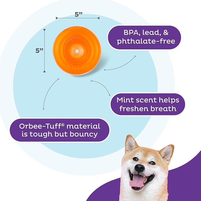 Outward Hound by Planet Dog Snoop Dog Toy – Treat‑Dispenser Puzzle Ball, Interactive Slow Feeder, Medium to Large Dogs, Bouncy & Mint-Infused, Orange, 5"