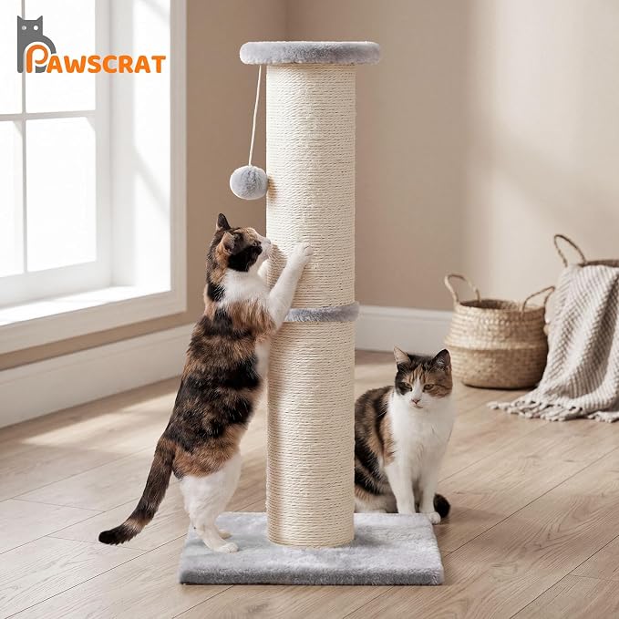 PAWSCRAT Cat Scratching Post 32" Tall, 5-Inch Diameter Natural Sisal Cat Scratch Post with Dangling Ball for Indoor Cats, Scratch-Resistant Durable and Protect Your Furniture, LightGrey