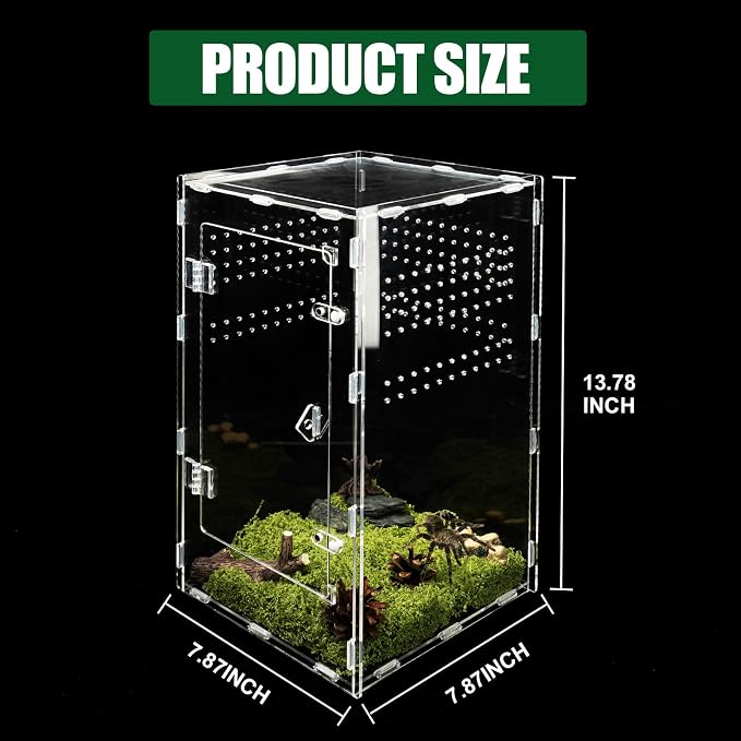 Acrylic Jumping Spider Enclosure, Transparent Reptile Terrarium Enclosure, Small Reptiles Habitat Tank Breeding Box for Tarantula Insect Snake Lizard (13.78 Large)