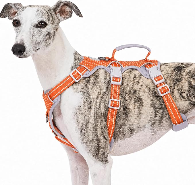 Escape Proof Dog Harness, No Pull Reflective Harness with Lift Handle, Adjustable Pet Vest with Front and Back Leash Clips for Small Medium Large Dogs Walking Hiking Training (Orange,L)