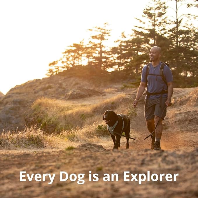Ruffwear, Front Range Dog Harness, Reflective Soft Padded Everyday Harness with Dual Leash Clips, Adjustable and Lightweight Fit for Training or Walking for All Dogs, Red Canyon, Small