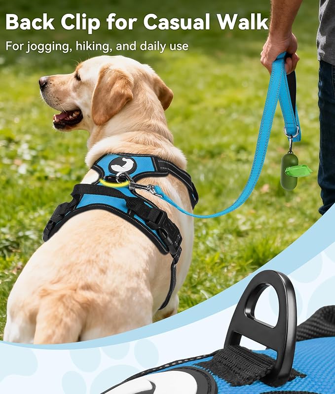 Joytale No Pull Dog Harness Medium Sized Dog, Front Clip, Sky Blue | Grab Handle for Instant Control, Padded & Adjustable Vest, Sturdy Metal D-Rings, for Safe Training & Daily Walking