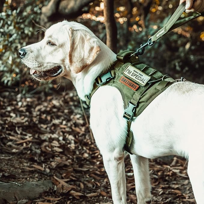 OneTigris Tactical Dog Harness with Handle No-Pull Adjustable for Small Dog | Military 1000D Pullable Nylon, Service Dog Vest with Hook & Loop Panels, Easy On & Off for Walking Hiking Training Green XXS
