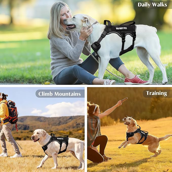 Escape Proof Dog Harness with Double Handle+4 Removable Patches | Service Working Molle Harness with Double Handle for Large Dogs, Tactical Pet Reflective Vest for Walking Hiking Hunting