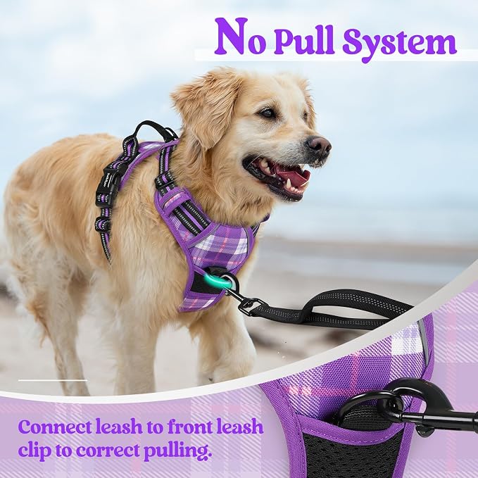 rabbitgoo Dog Harness, No Pull for Large Dogs with 2 Leash Clips, Pet Vest | No Choke with Handle, Adjustable Soft Padded, Reflective, Easy Control for Walking, Purple Plaid, X-Large