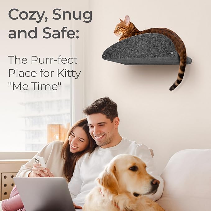 Accessory ADD-ON Long Shelf Facade Covers Compatible with Cat Wall Shelves by Pryde Pets - 100% Sustainable PET Felt - Climber Sold Seperately - Cats Perch Privacy and Safety Bumpers (Charcoal)