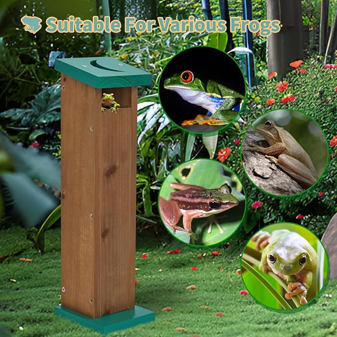 Tree Frog House for Many Species of Tree Frogs, Deluxe Wood Tree Frog Nest Frog Habitat Frog Shelter for Outside Garden, Indoor Breeding (Brown)